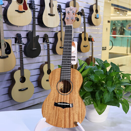 Kaka ukulélé kaka 25d acajou placin ukulélé masculin et féminin débutants débutants guitare 23 pouces KUC-25d Veneer Wood Color Original Sound Modèle