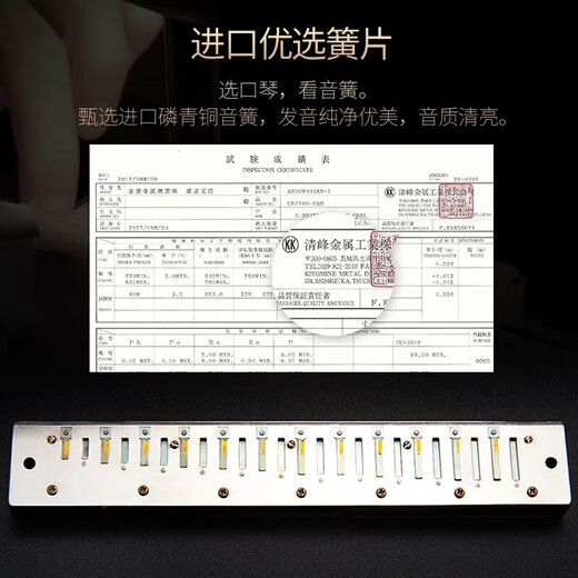 国光国光进口音簧口琴专业演奏级复音高端重音初学入门成人自学送礼 24孔 黑色C调【演奏级音质】