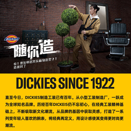 Dickies sac à dos sac d'ordinateur sac à dos filles grande capacité sac de voyage sac collégial sac lycée élèves de lycée