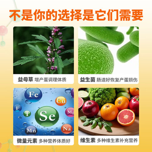 Egg Duoduo for Little Pets, Egg-Producing Egg-laying Spirit, Turtle, Parrot Nutrition, Electrolytes, Multivitamins for Chickens, Duoduo Eggs for Little Pets, 2 cans/100g (spoon included)