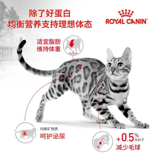 Royal cat food adult cat food F32 general food 1-7 years old 0.4KG