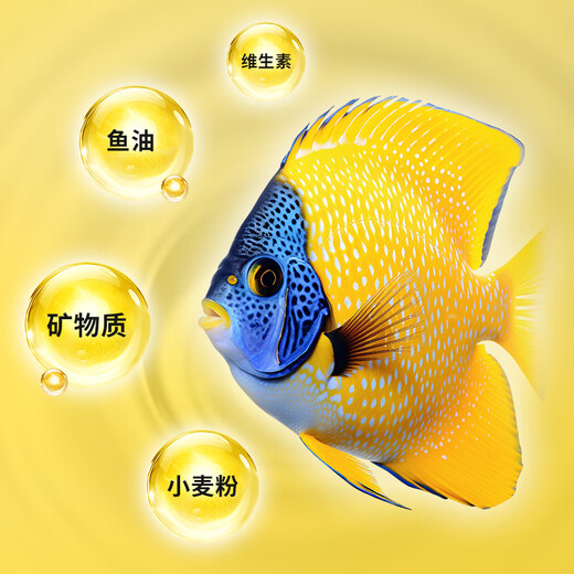 半紫半红鱼食锦鲤金鱼小型鱼专用饲料上浮型颗粒鱼食料观赏鱼草金通用鱼粮 三色混合中颗粒1050ml/2.5-3.5mm