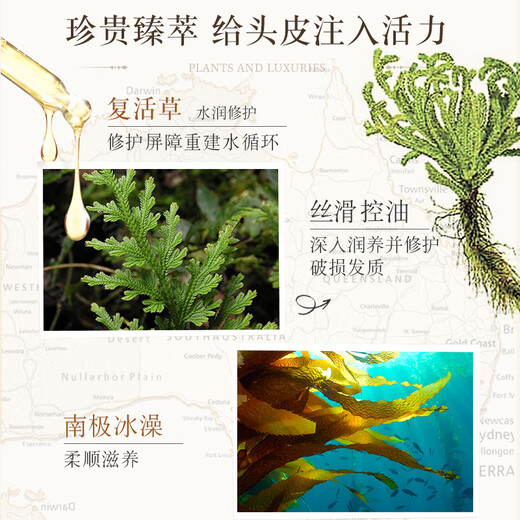 
Plant quotations Plant voice Resurrection grass oil control fluffy shampoo 750ml oil head flattening special