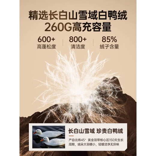 Camel (CAMEL) Wang Junkai's same style Camel Volcano Down Jacket Jacket Men's and Women's Winter Hooded Thickened Versatile Short Bread Jacket