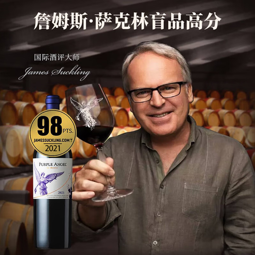 MONTES蒙特斯 紫天使干红葡萄酒智利原瓶进口 送礼佳选750ml单支
