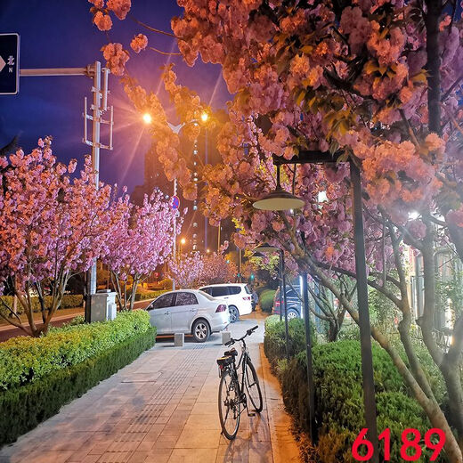 
Yunmao Internet celebrity anchor live broadcast background cloth Douyin Kuaishou video joke 3d three-dimensional background wall night scenery outdoor scene 6187 1.5 meters wide 2 meters high