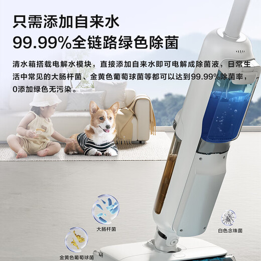 Haier Floor Scurpor Home Z10WU-1 Double Rouleau Brosse à double puissance Dual Power Séchage à l'air chaud HEIL AUTRE AUTRE AUTRE ELECTROLYTIQU