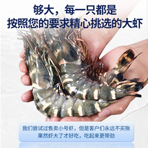 Mr. Fishman's domestically produced live frozen black tiger shrimp, net weight 1.8 Jin, equal to 0.5 kg, 36-45 pieces, salt-frozen single-frozen fresh shrimp, barbecue prawns