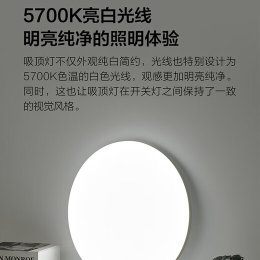 OPPLE Eye Protection Ceiling Lamp Living Room Lamp LED Lighting Bedroom Lamp Simple White Light-24W