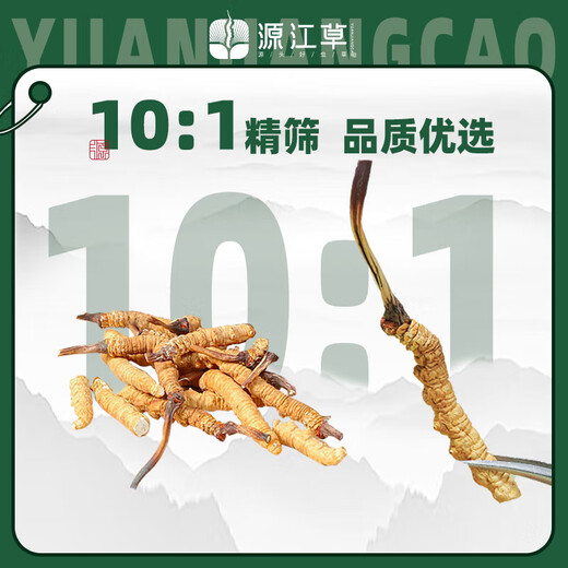 Yuanjiang-Gras, Cordyceps sinensis, Cordyceps sinensis, ausgewählter Cordyceps sinensis, erschwingliches Paket, Nahrungsergänzungsmittel für ältere Menschen, Geschenkbox zur Selbstverwendung, 50 g Cordyceps sinensis, gratis 5 Gramm
