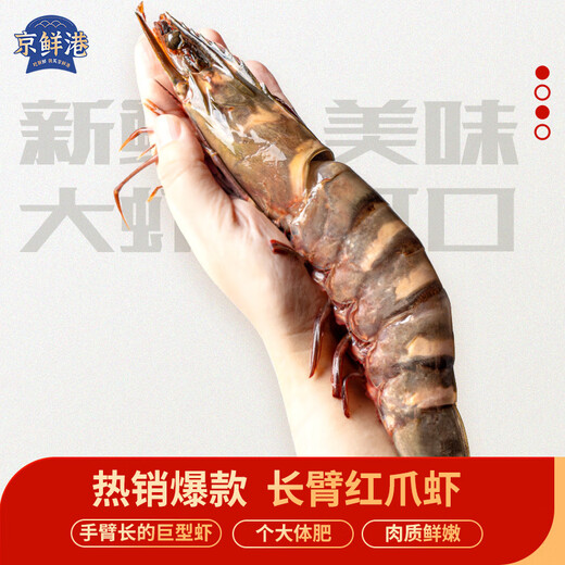 4 prawns with long red claws, net weight 1.2 Jin, equal to 0.5 kg, prawn New Year gift box + 1 Jin, equal to 0.5 kg, Yanhao cooked frozen Arctic sweet shrimps