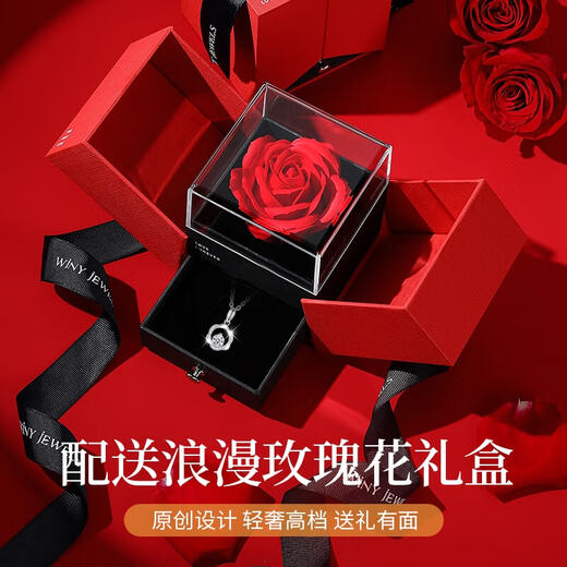 The only (Winy) Mobius sterling silver necklace women's pendant birthday gift for girlfriend and wife silver jewelry