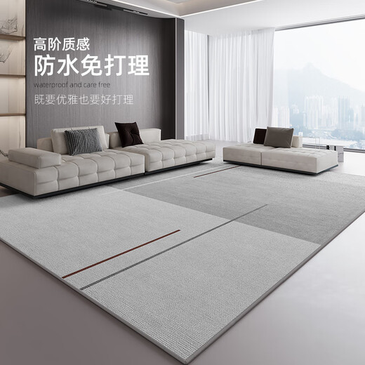 Silver shield carpet living room 2024 new light luxury sofa blanket gray bedroom free wash wipeable full-shop free care floor mat modern 16779 160*230cm