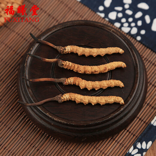 Fuxitang Cordyceps sinensis 5 Wurzeln/g 1 Gramm/Box ungefähr 5 Wurzeln