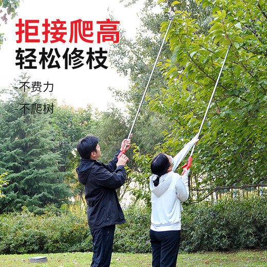 MYTEC high-altitude pruning shears for fruit trees, special scissors for pruning branches, extended pruning scissors, extended pole pruning scissors, high branch shears, 1 meter high branch shears, stainless steel