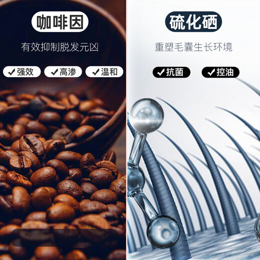SHEVEU赛逸去屑止痒洗发水进口二硫化硒咖啡因生姜防掉发洗发露375ml*2