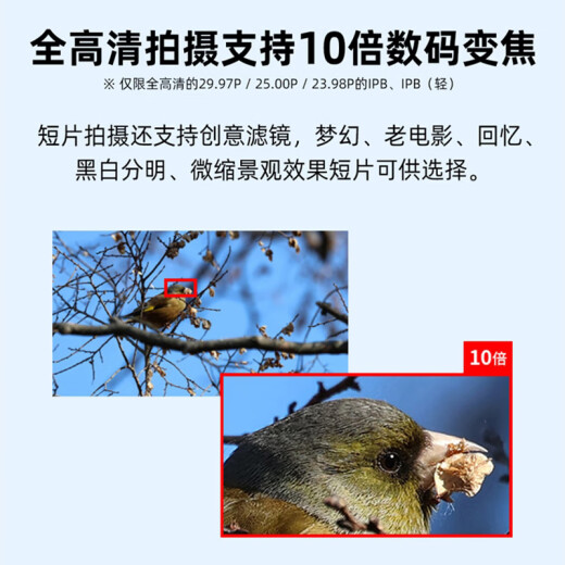 佳能（Canon）[至高24期免息]EOS R10 微单相机 APS-C画幅 高速连拍 全景拍摄 小巧轻便 RF-S18-45F4.5-6.3 原装未拆封套机 套餐三 进阶套餐 128G高速卡+699