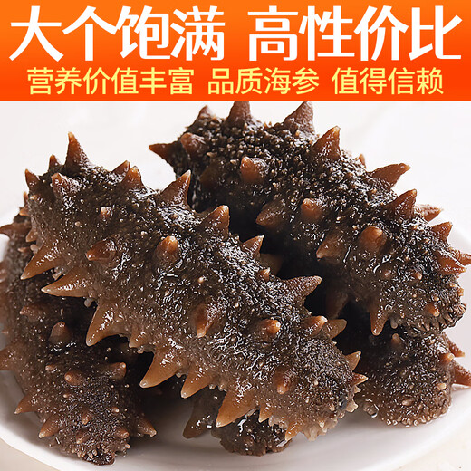 Meifengtang ready-to-eat sea cucumber Dalian individually packaged fresh wild bottom sown Liao cucumber and sea cucumber seafood New Year's goods 16-20 pieces 500g