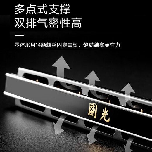 国光上海国光24孔C调复音初学者口琴官方旗舰重音专业演奏级成人乐器 24孔 C调 【初学款】银色复音+赠品