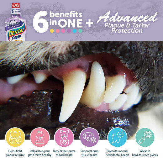 Dental Fresh Pet Mouthwash Oral Care Solution Water for Cats and Dogs to Remove Dental Plaque 237ml 8 Fl.Oz (Approx. 237 ml) * 1 Pack