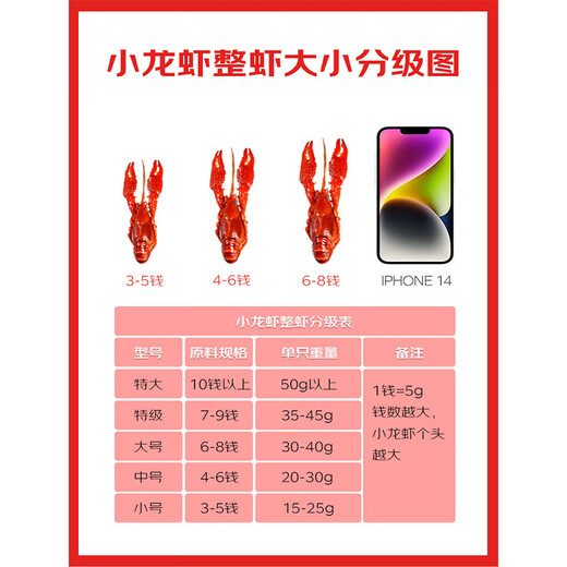 Haidilao garlic crayfish 1.25kg 2025 new shrimp, average grade 4-6 yuan, clean shrimp 800g whole shrimp, heat and eat