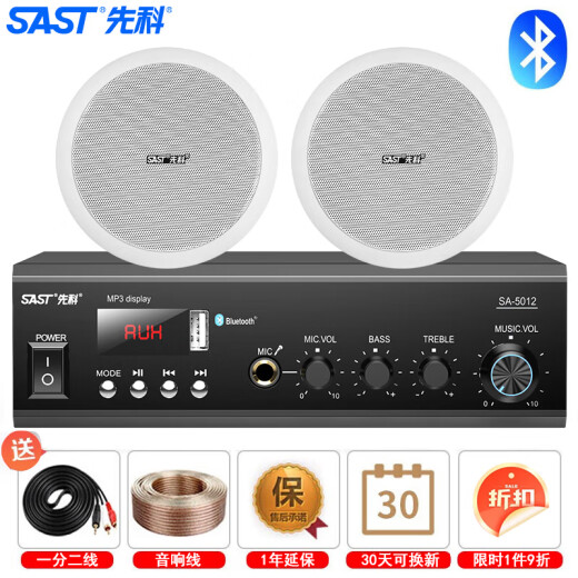 XIANKE (SAST) Techo Audio Set 2, Amplificador de presión fija Sistema de transmisión pública Techo Hogar Sala de estar Conferencia Antecedente de fondo Combinación de música Combinación