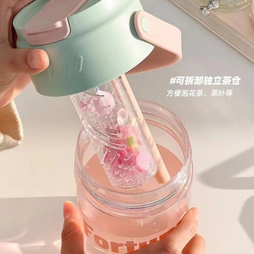 宜乐舒ppsu水杯成人泡茶杯女生高颜值大容量便携式运动杯夏季新款带茶隔 春色绿689ML【配茶隔提手】 1L 杯子+3D贴+杯刷+吸管刷