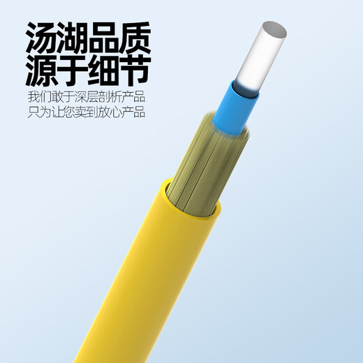 汤湖 3米SC单模光纤跳线3米尾纤跳线光纤线 网络级 3.0-ST-FC 3米