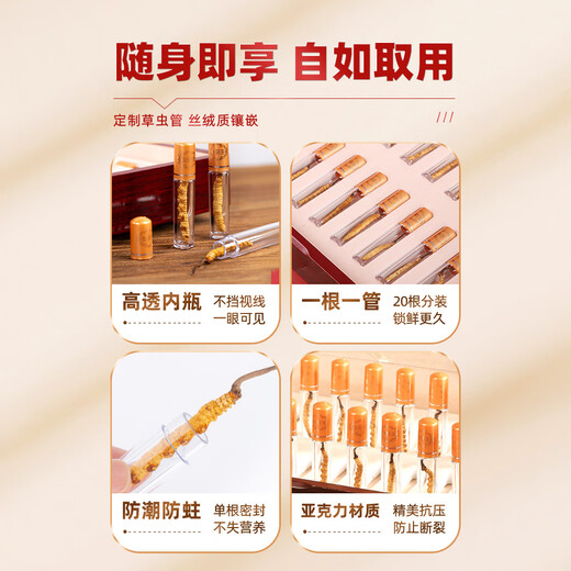 渭水鸿 冬虫夏草礼盒3根/克30管父亲节送父母长辈亲戚见家长实用礼物