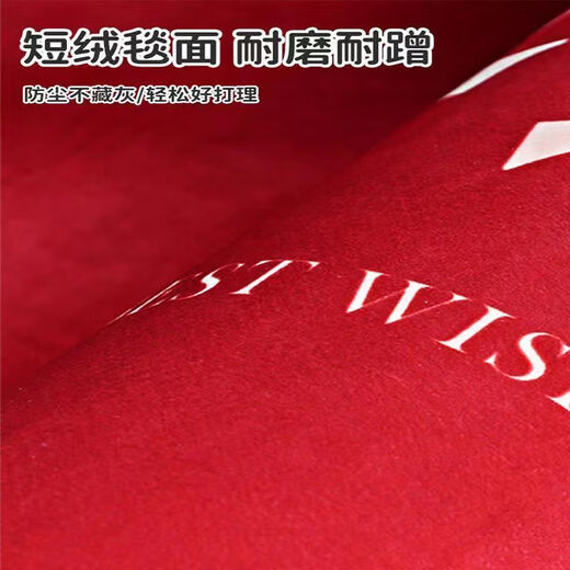 Shansui Fuman New Home Entrance Floor Mat Entry Floor Mat Moving New House Entrance Door Festive Red Carpet Mat Fumanju/Vertical Version 100*120 Jacquard Embroidery/Advanced