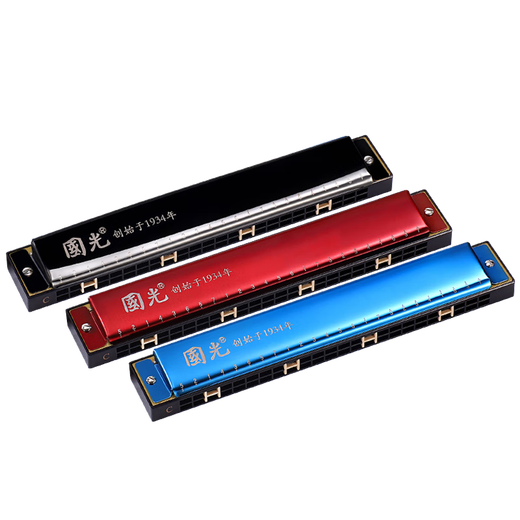 Guoguang Shanghai Guoguang harmonique 24 trous Polyphonique C-tuners pour débutants, élèves du primaire, introduction de 28 trous aux adultes pour enfants, version commémorative de Starry Silver [Tutoriel vidéo Colonde + vidéo