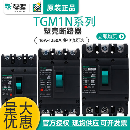 天正电气天正空气开关TGM1N 3300 63A125A250A400A630A塑壳断路器 32A 3P 100A 3P