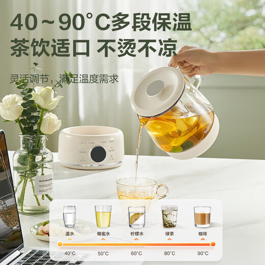 SUPOR Health Pot 316L Stainless Steel Office Home Portable Tea Kettle 1L Mini Health Cup Health Pot Tea Maker Constant Temperature Kettle Small Flower Teapot Electric Stewing Cup SW-10Y04 1L