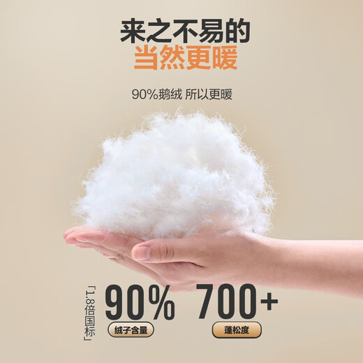 Bosideng Lightweight Goose Down Down Jacket Men's Short Stand Collar Lightweight Convenient Storage Comfortable Versatile Warm Jacket