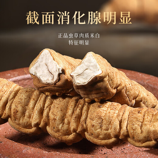 滋品物语 冬虫夏草干虫草高品质精选礼盒装饱满无断草年货节送礼自用 【热销礼盒】整草4条/g 10克 约40条