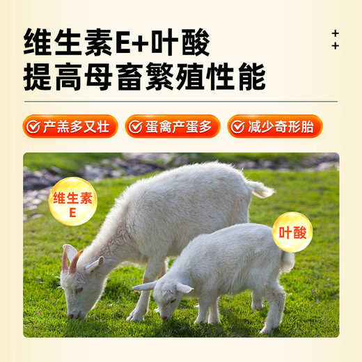 Animal husbandry concentrated cod liver oil for chickens, ducks, geese and pigeons to supplement multivitamin, mineral and trace element feed additives. Concentrated cod liver oil 500ml/bottle