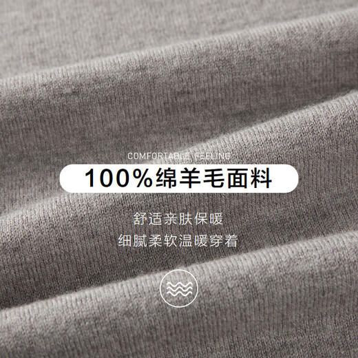 HLA Heilan House brand exclusive long-sleeved sweater for men's light business classic round neck pure wool sweater