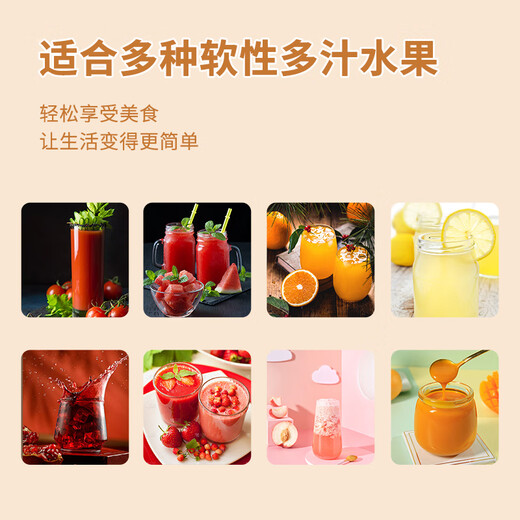 Baijie 304 stainless steel manual juicer, fruit and vegetable stuffing dehydration squeezer, orange juice squeezer, juicer press, mud press 304 stainless steel juicer JL-305