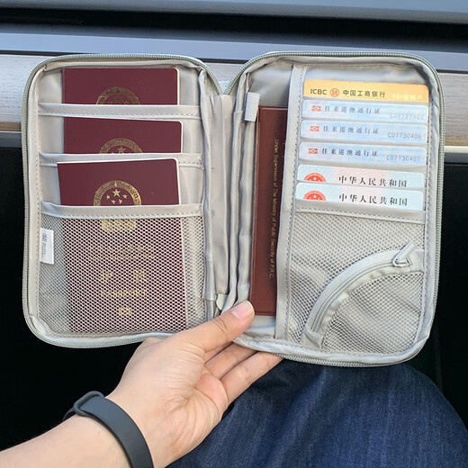 Sac de rangement de passeport chaud et sec, boîtier de protection de certificat d'embarquement de bagage à main, voyage à l'étranger, voyages familiaux, carte de changement, sac de passeport, sac de passeport - Galaxy Gray Small, adapté à 12 personnes