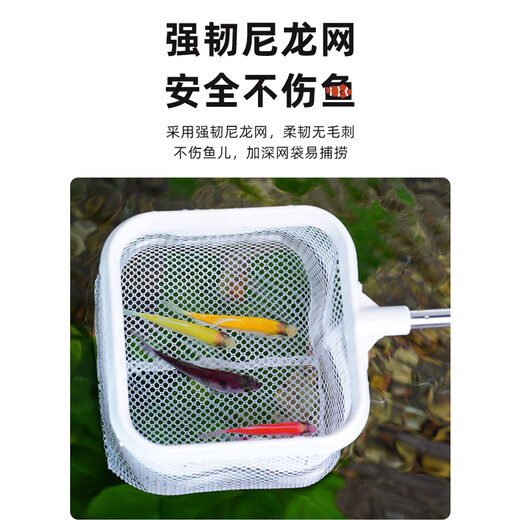派乐特鱼缸鱼捞网网捞鱼小号3d渔捞网兜密网手抄鱼网热带观赏鱼可伸缩
