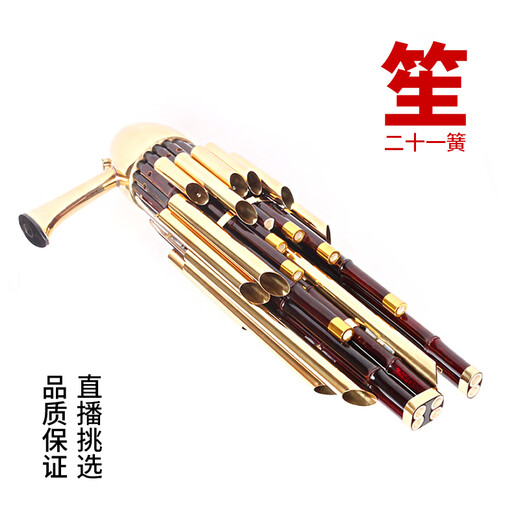 岐为精致加键扩音21簧笙乐器大全圆笙修笙工竽乐器笙包初学者 21簧漆金专业活斗笙【黄管】-D调