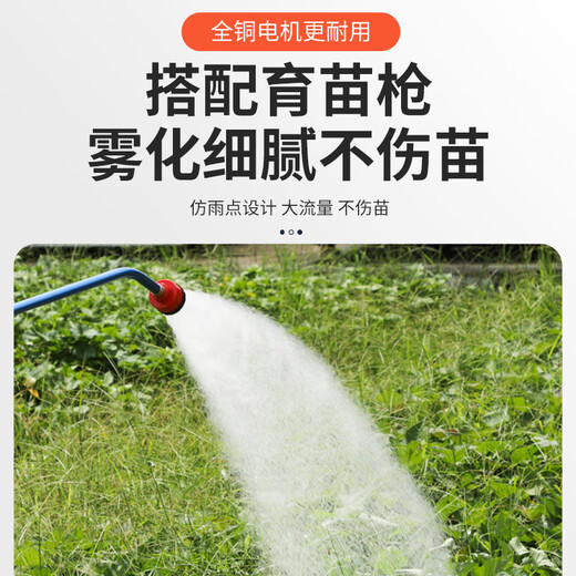 Rechargeable water pump vegetable field outdoor pastoral agricultural suction pump watering ground irrigation household vegetable watering artifact watering machine 24V16A lithium water pump + 100 meters pipe
