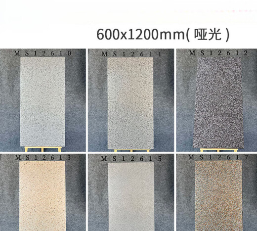 XMSJ600x1200彩色水磨石瓷砖商场酒店哑光凹凸水洗石地砖全瓷砖 MS12611 600*1200
