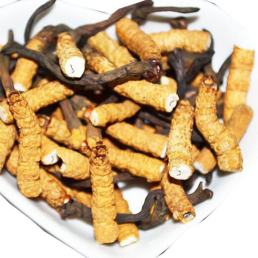 Verwenden Sie auf dem inneren Hof die gleiche Qualität, gebrochene Cordyceps und Hay Cordyceps und Sommergras, um Suppe und Wein für eine spezielle Behandlung zu machen. Yushu 10g