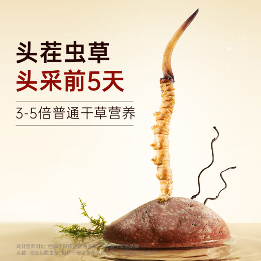 Ayishe Cordyceps sinensis 3-4 roots/g10g about 36 roots Cordyceps gift boxes for elders Dragon Boat Festival gifts