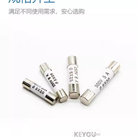 R055 ceramic fuse tube 5x25mm fuse 0.5A 1A 2A 3A 4A 6A 13A 16A 20A R055 ceramic 5x25mm 10A (100 pieces/box)