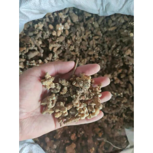 Guangxi Dry Goods, Vinegar, Chinese Herbal Medicine, Teng Sanqi, Sichuan, Qi ni, 7, Earth, 500g, 500g, 500g, 1 Jin [Jin est égal à 0,5 kg]