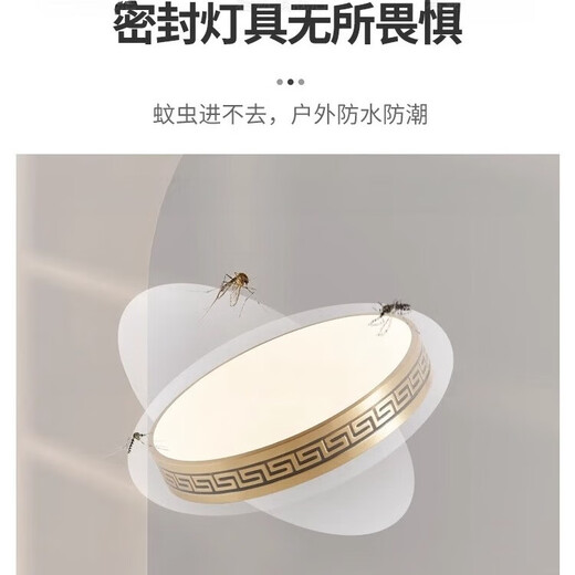 禾灵室外吸顶灯防虫防水进门灯中式别墅全铜超薄入户灯花园露台阳台灯 X3891/圆形30CM/三色可调