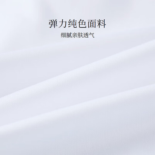 HLA Heilan long-sleeved shirt spring business commuting solid color formal shirt women's clothing