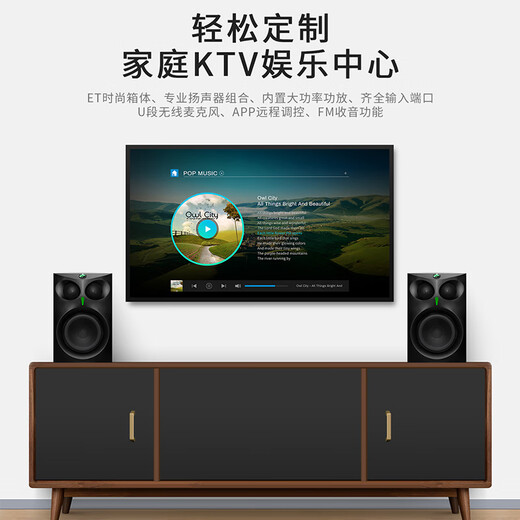 HiVi ET800 active KTV speaker home theater TV karaoke Bluetooth speaker with wireless microphone